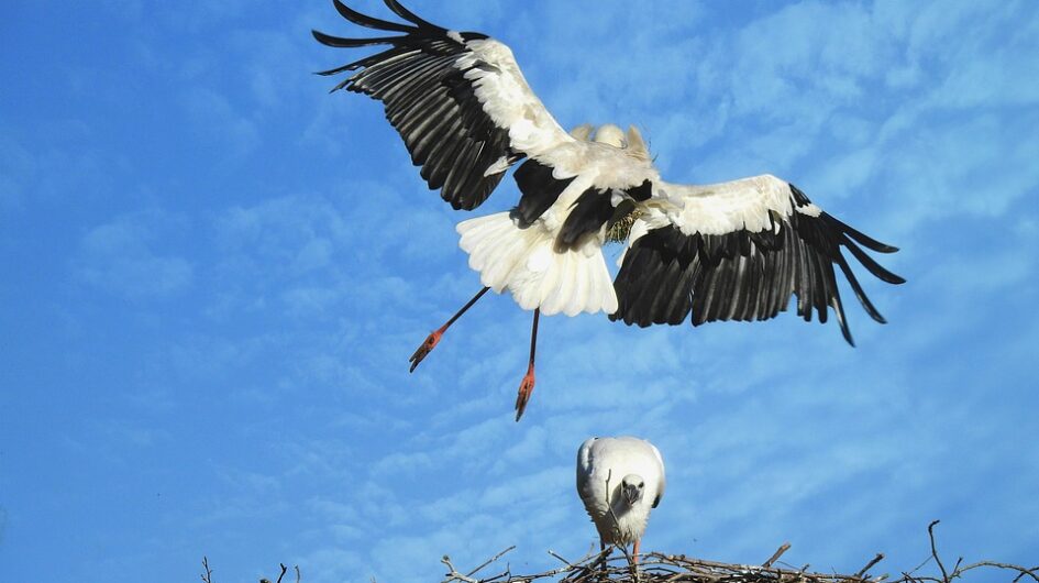 Obrázek článku Duševní zdraví v zajetí institucionalizace – jsme schopni to změnit