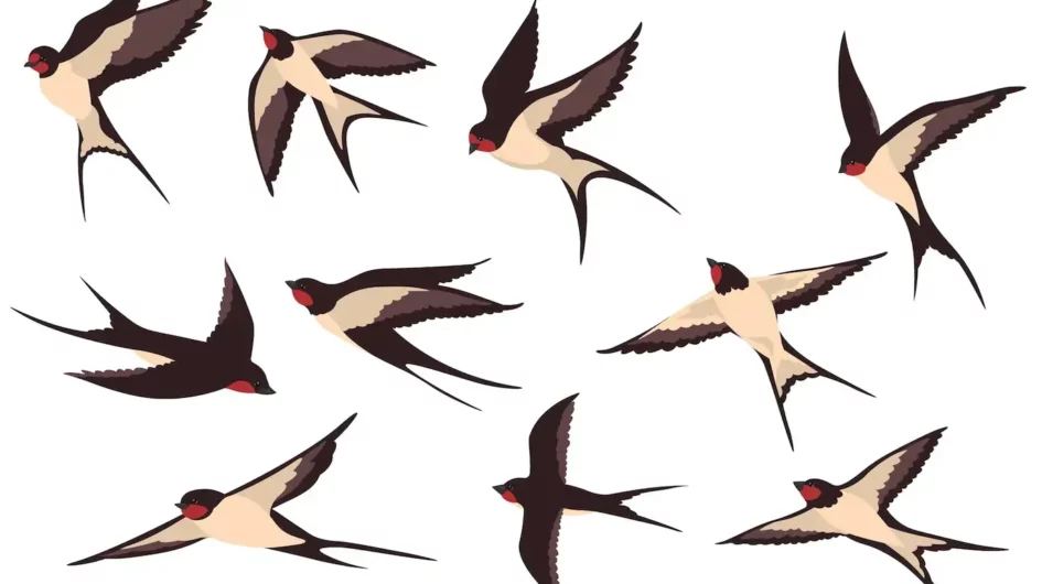 Ilustrační fotografie k článku Vyletět z hnízda a neskončit přitom v ústavu